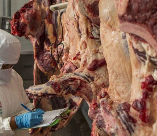 Branko denuncia que en Bolivia las exportaciones se frenan por cuestiones políticas