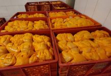 Prevén activar puente aéreo el fin de semana para abastecimiento de carne de pollo
