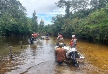 Lluvias: 154.920 productores golpeados, 108 mil hectáreas de cultivos anegadas y 591.412 cabeza de ganado en riesgo