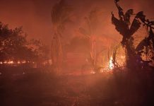 Ambientalistas piden frenar la desforestación ante los graves daños causados por los incendios