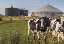 El biogás podría cubrir un cuarto de la demanda mundial de gas natural