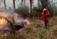 Gobierno refuerza monitoreo aéreo y control de incendios forestales en Santa Cruz