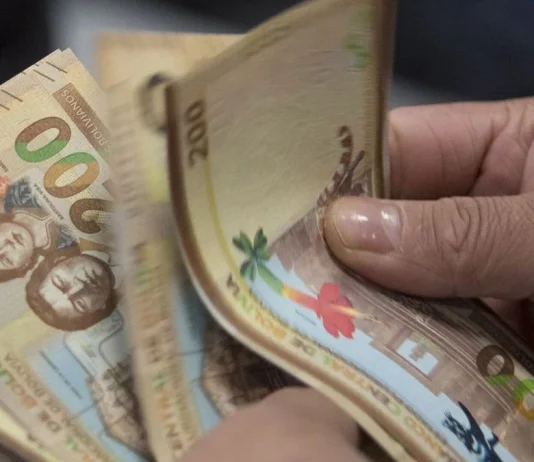 Exdirector del BCB plantea medidas para sacar a Bolivia del modo crisis