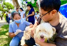 Zoonosis realiza operativo y sanciona caso de abandono