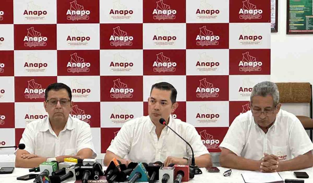 anapo-reporta-un-ano-excepcional-en-todos-los-cultivos-con-un-aumento-de-91--en-la-produccion-16-12-2025
