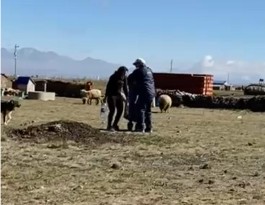 56232_cronicabloqueo-de-caminos-una-odisea-familiar-de-20-horas-en-el-altiplanoantonio-ochoa-1