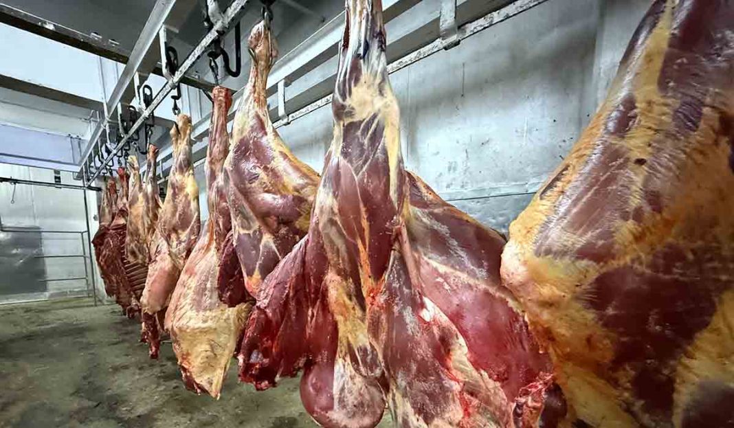 corte-unico-solidario-continuara-y-llegara-a-mas-distritos-con-carne-a-precio-justo-11-01-2026