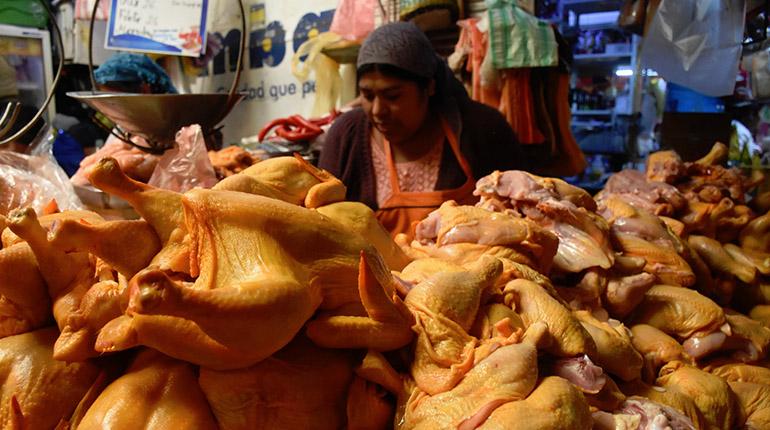 venta_de_pollos