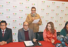 Varios “pesos pesados” esperan el fallo del TSE para seguir en carrera