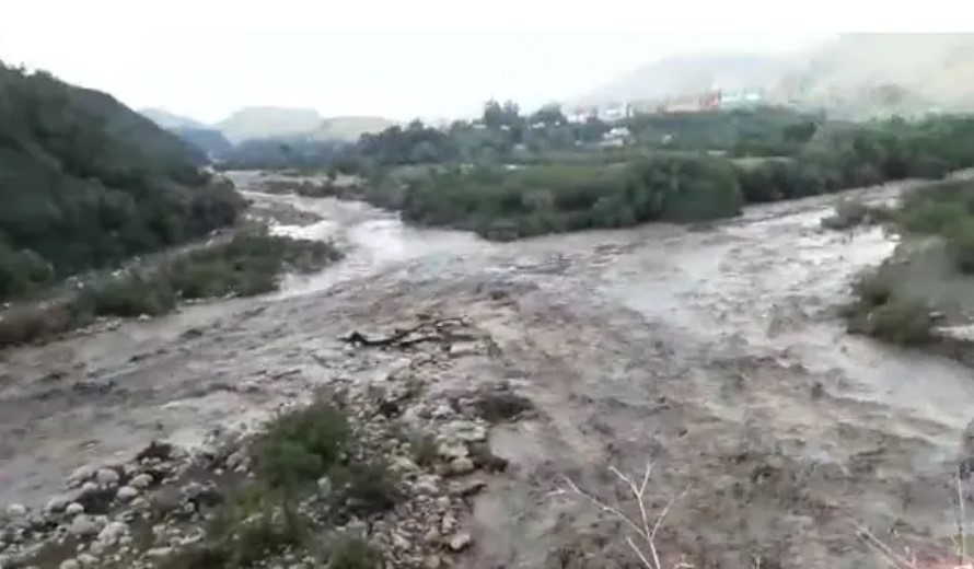 Anotación 2026-02-02 074140