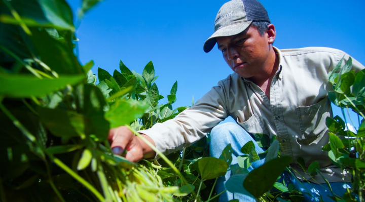 b_57346_en-10-anos-la-exportacion-de-soya-supero-los-us-12160-millones-1