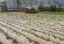 Lluvias en Bolivia: 28 municipios se declaran en desastre y las familias damnificadas suman 95.000