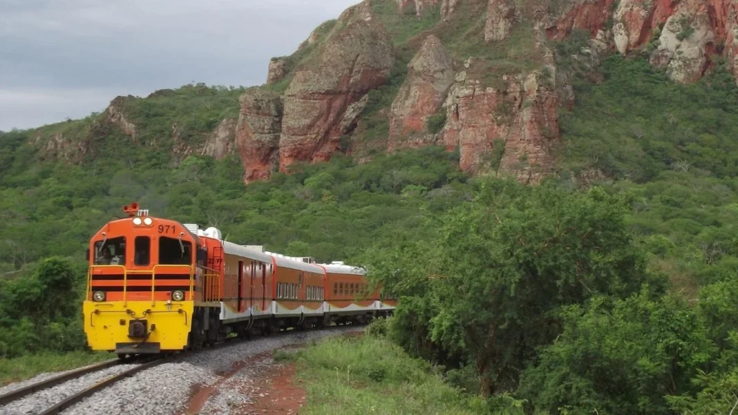 tren-chiquitania-jpeg.