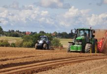 Paso de gigante en la gestión de residuos agrícolas: la cascarilla del arroz podría generar electricidad y energía limpia