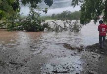Alertan por riesgo de desborde de ríos en cinco departamentos hasta el viernes