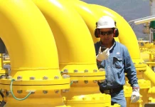 Bolivia necesita descubrir tres megacampos de gas natural para retomar la producción del 2015