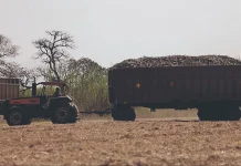Pequeños productores tienen 9,6 millones de ha para acceder a créditos