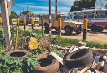 El chikunguña causa 21 muertes en los primeros cuatro meses del año