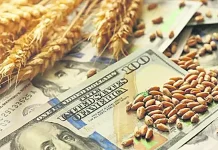 Bolivia enfrenta una brecha de divisas que supera los $us 5.000 MM