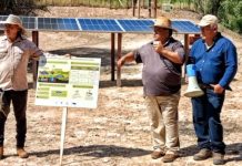 Innovación en el Chaco: Ganadería que regenera suelos y conserva el bosque