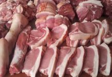 Bolivia recibirá certificación de país libre de fiebre porcina y podrá exportar