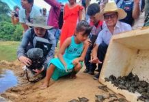 Liberarán más de 2.500 tortugas en Manuripi para fortalecer la conservación