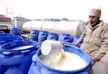Productores de leche denuncian alza de precios y piden ‘sincerar’ costos