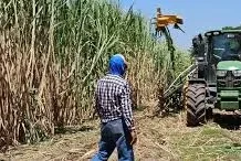 Cañeros advierten riesgos en el inicio de zafra por falta de diésel