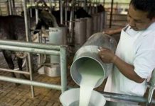 Gobierno impulsa mayor consumo de leche, poco después de desregular su precio