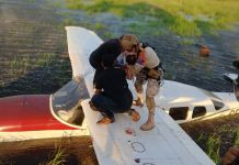 Milagro en el Beni: Cuatro personas, incluido un bebé, sobreviven a un accidente aéreo