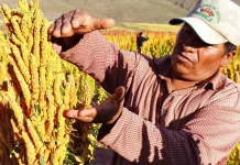 Paz defiende la Ley 157 y afirma que el eje es el crédito rural, no los latifundios