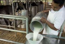Productores incrementan el precio de la leche cruda en un 22% tras la desregulación del Gobierno