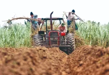 Tierra sin crédito: el límite que la Ley 1720 busca romper en el sector productivo