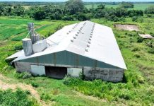 Fiscalía de La Paz indaga corrupción en B-Agro y sueldos fantasma