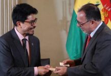 Bolivia y Chile activan homologación de licencias de conducir