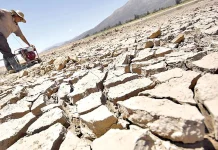 Advierten posible sequía severa en Bolivia por El Niño 2026 y alertan sobre impacto en agua, producción e incendios