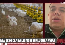 Bolivia logra certificación internacional como país libre de influenza aviar