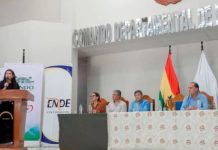Proyecto IDTR III llevará energía eléctrica a la Amazonía pandina
