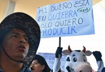 Lecheros protestan contra los bloqueos en el aeropuerto de Cochabamba