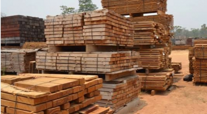 b_62265_opinionla-exportacion-forestal-boliviana-y-sus-desafios-logisticosfranklin-duran-1