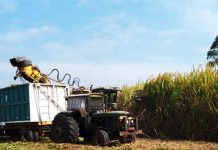 Bloqueos ponen en vilo la zafra; cañeros urgen a YPFB cumplir con el abastecimiento de diésel