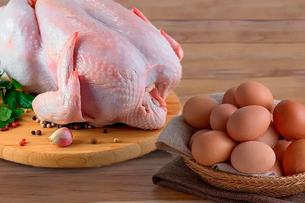 pollo