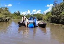 Inundaciones aíslan comunidades en San Miguel de Velasco y amenazan al sector ganadero